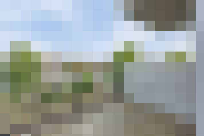  / #17