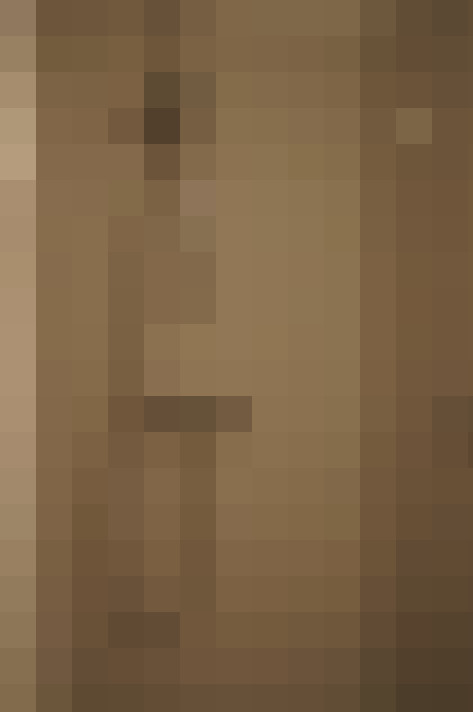  / #19