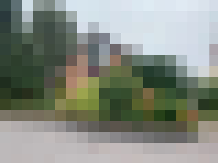  / #13