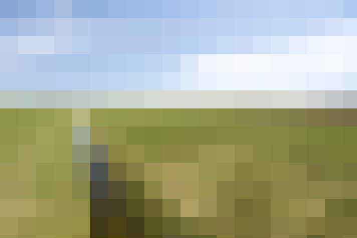  / #63