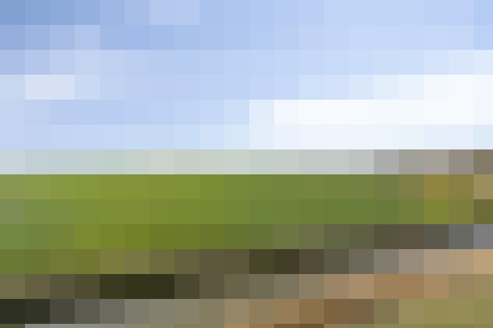  / #64