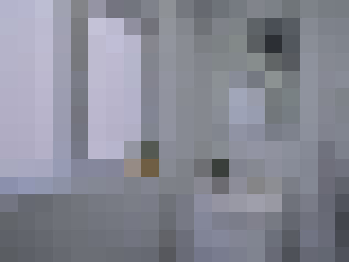  / #14