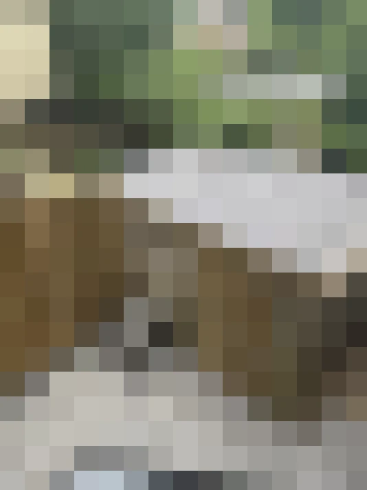  / #57