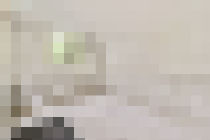  / #24