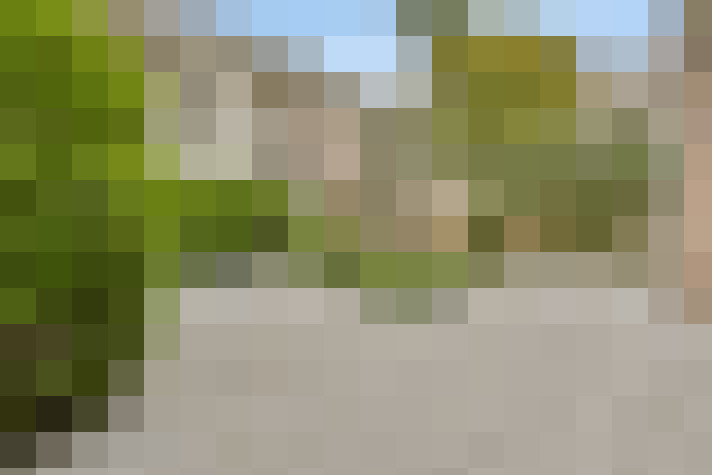  / #11
