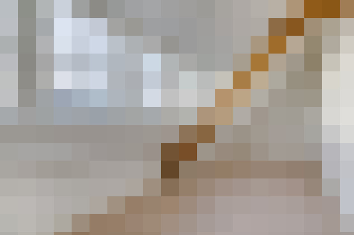  / #29