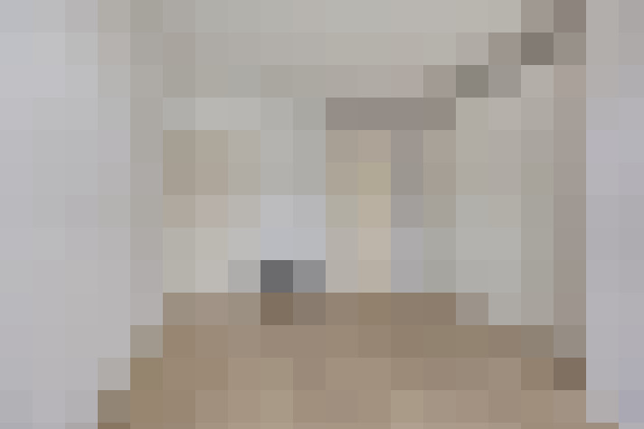  / #24