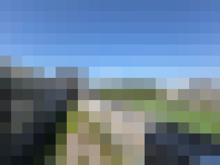  / #7