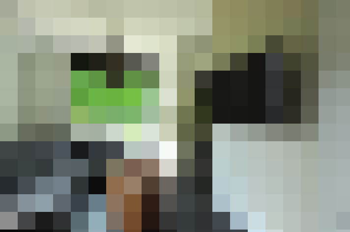  / #7