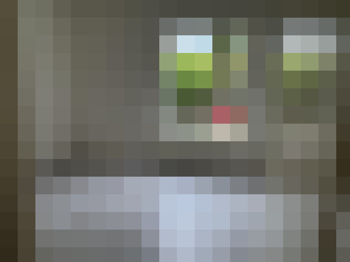  / #14