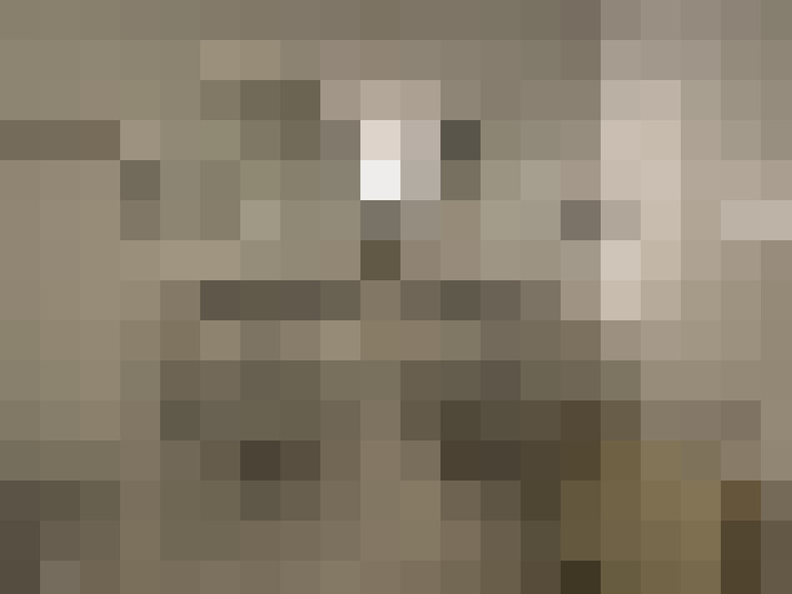  / #21