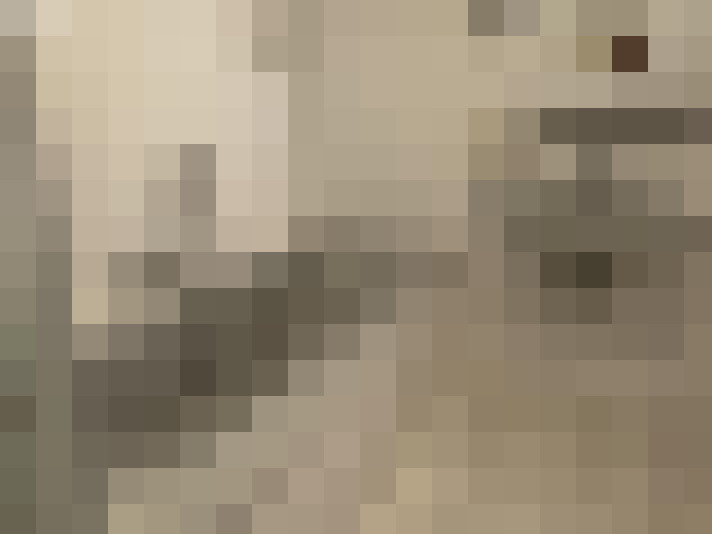  / #22
