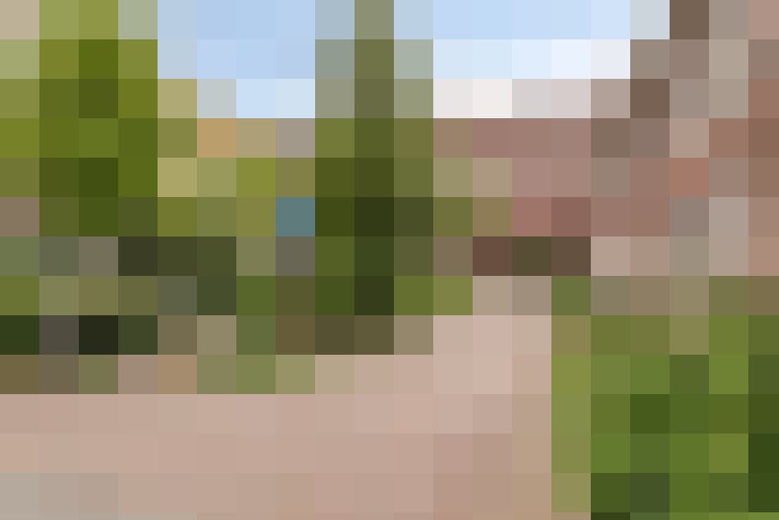  / #16