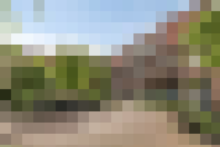  / #17