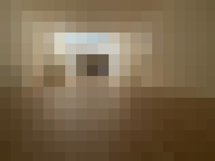 / #10