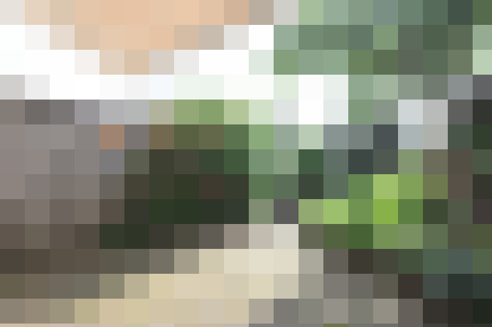  / #20