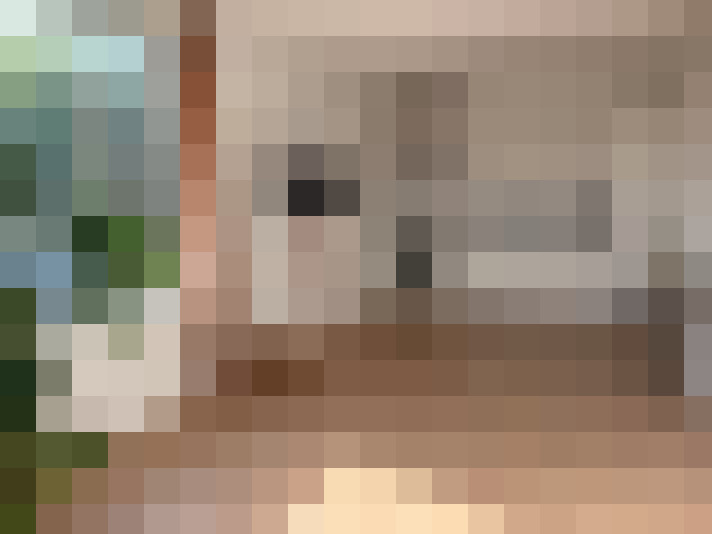  / #11