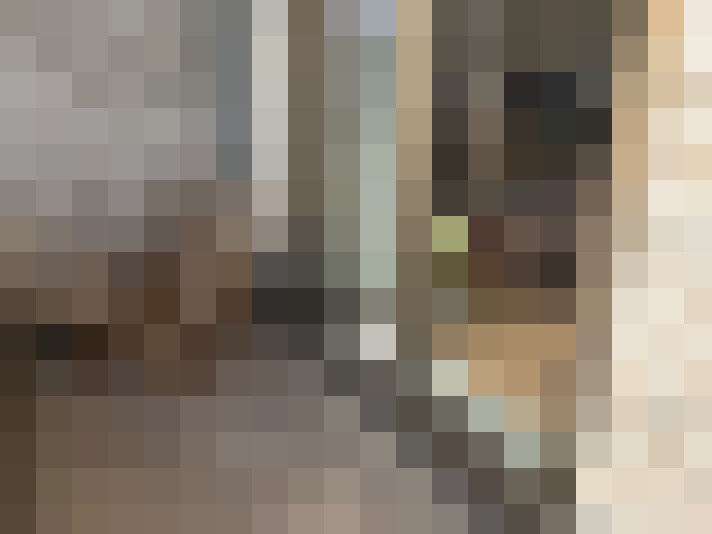  / #16