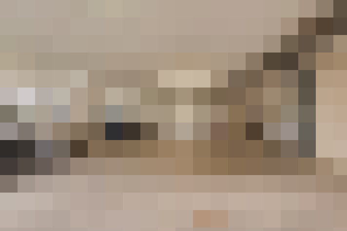  / #24