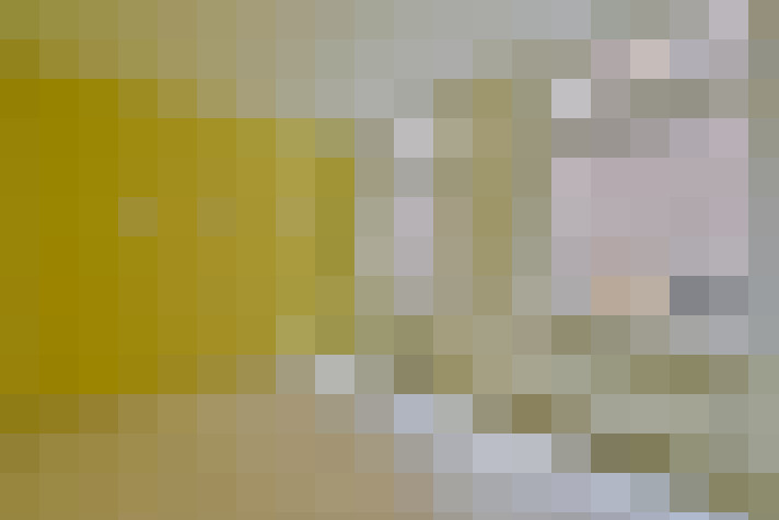  / #15