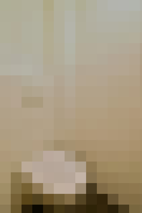  / #19