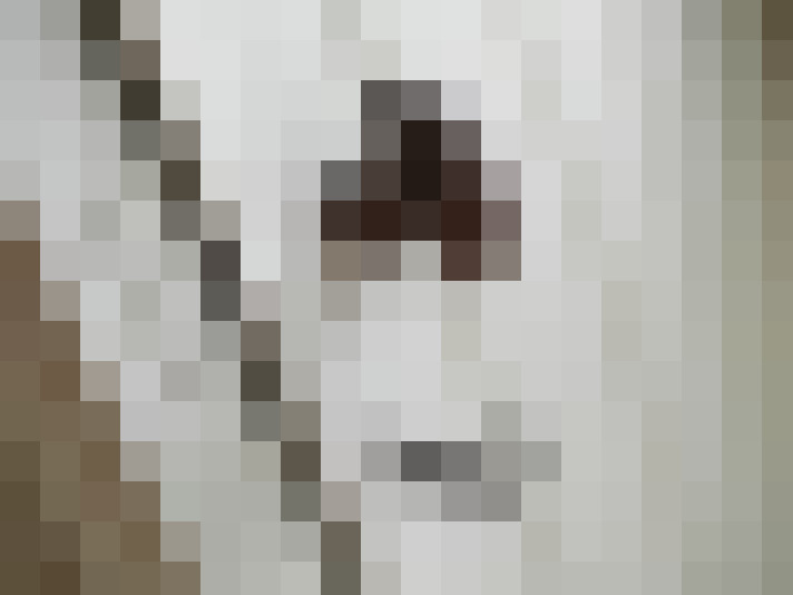 / #14