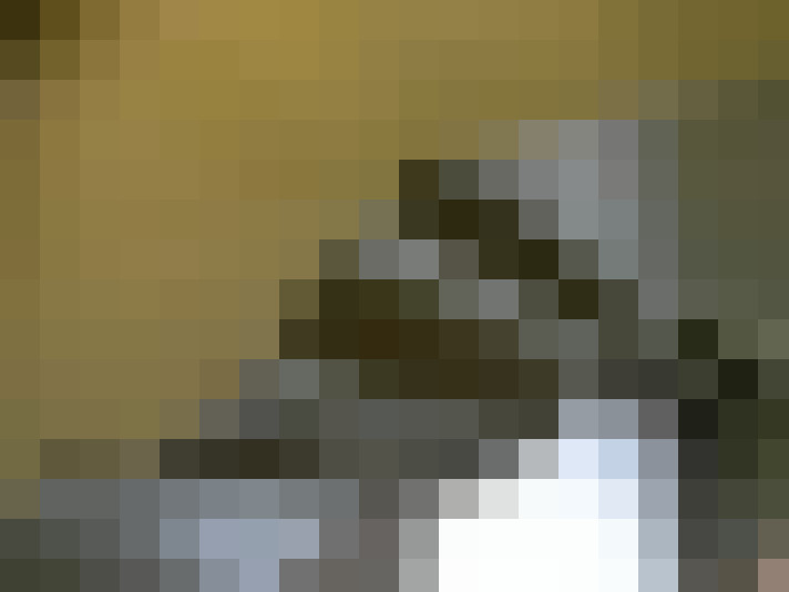  / #13