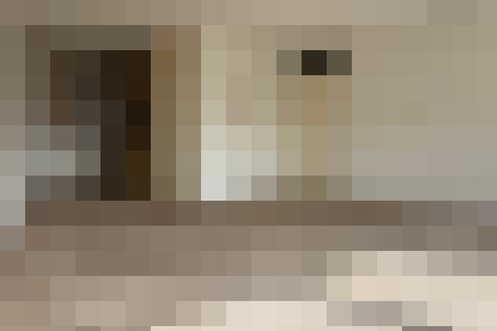  / #9