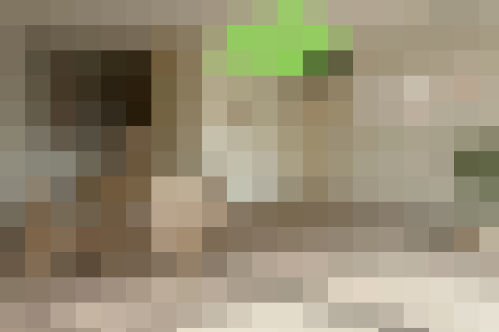  / #8