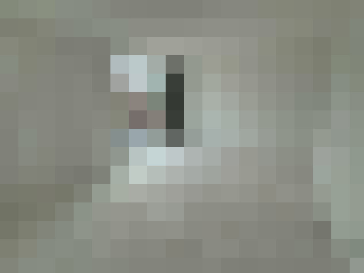  / #6