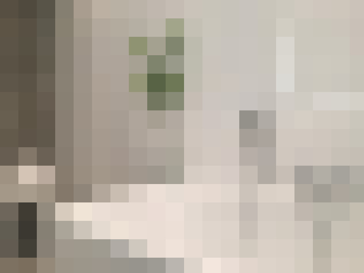  / #21