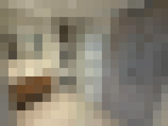  / #16