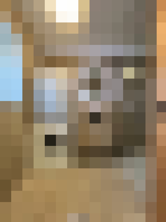  / #11