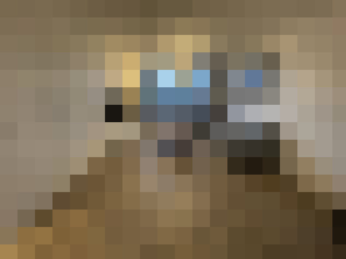  / #16