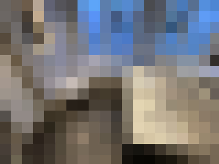  / #22