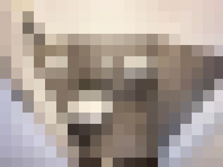  / #15
