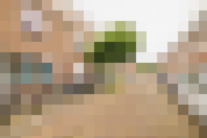  / #26
