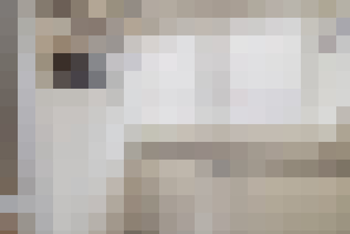  / #21