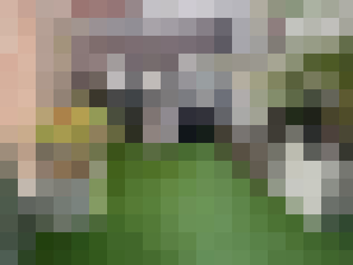  / #15