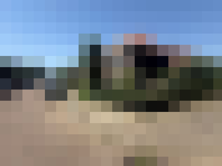  / #31