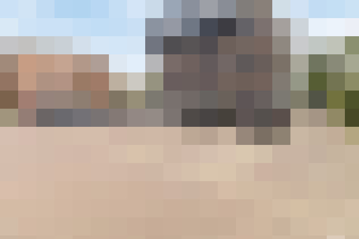  / #31