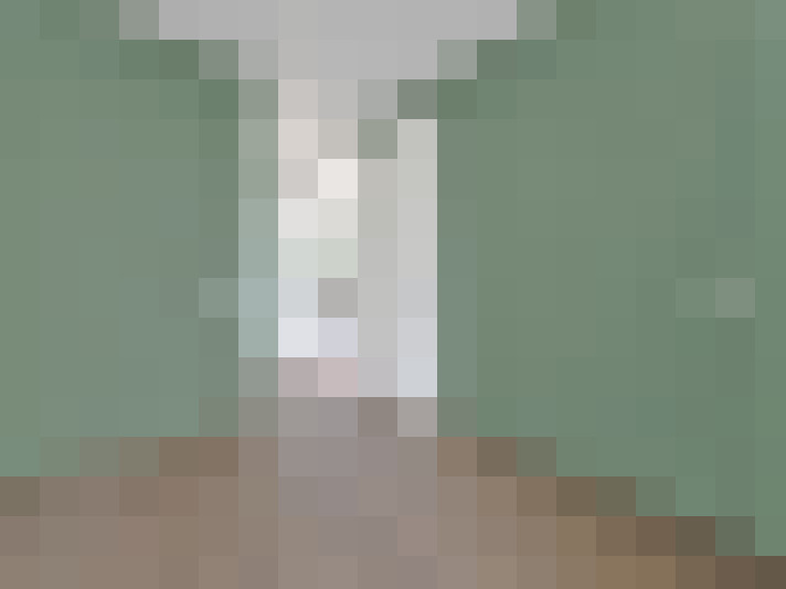  / #24