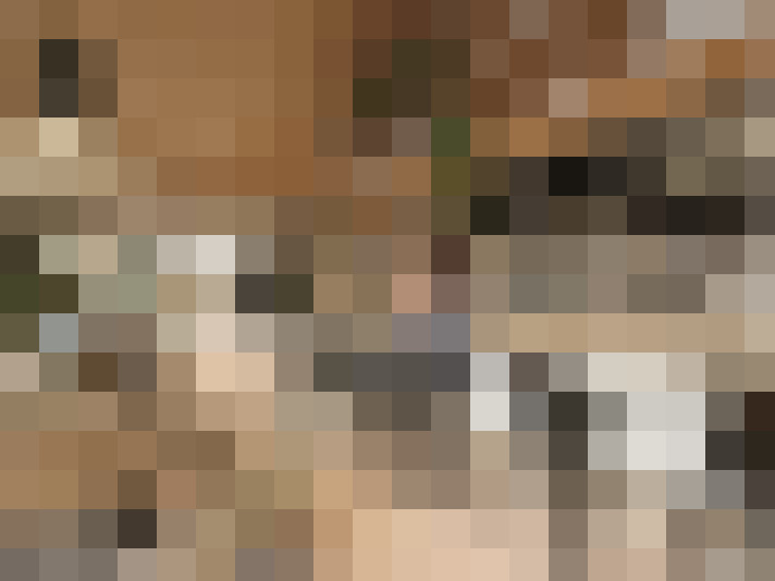  / #56
