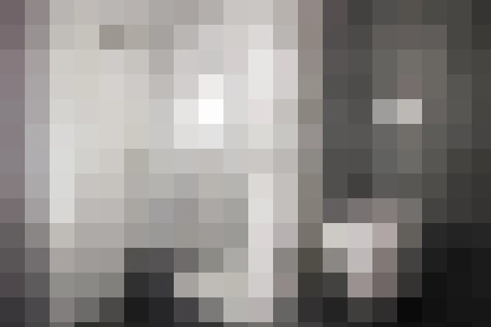  / #33