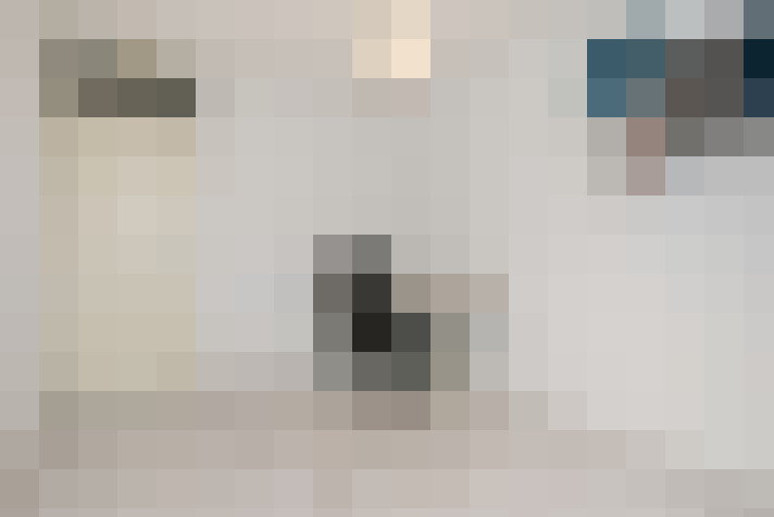  / #21