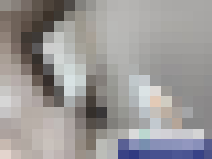 / #15