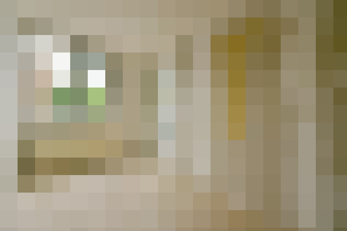  / #11