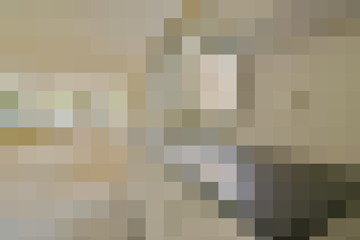  / #8