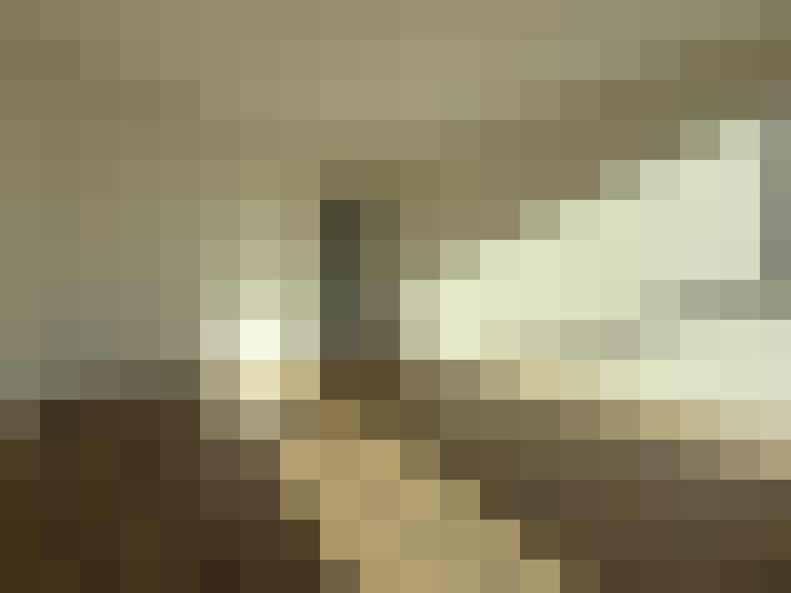  / #11