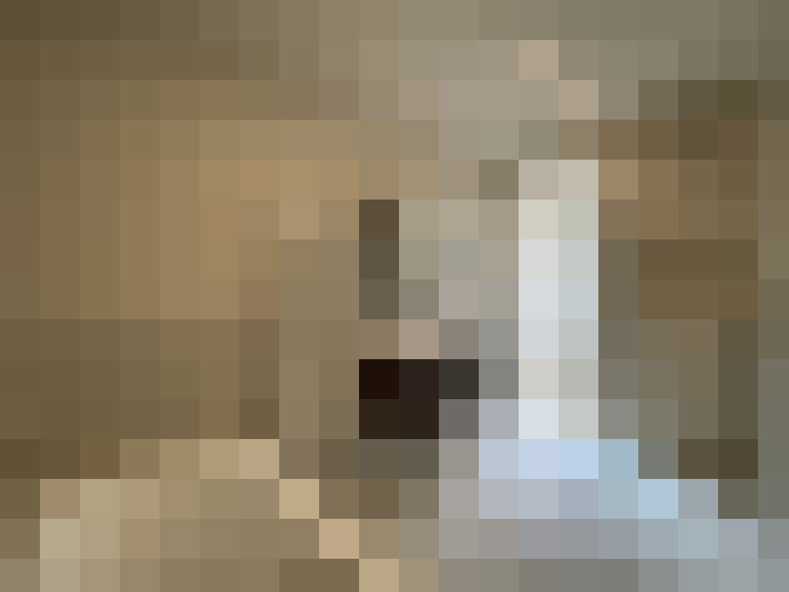  / #24